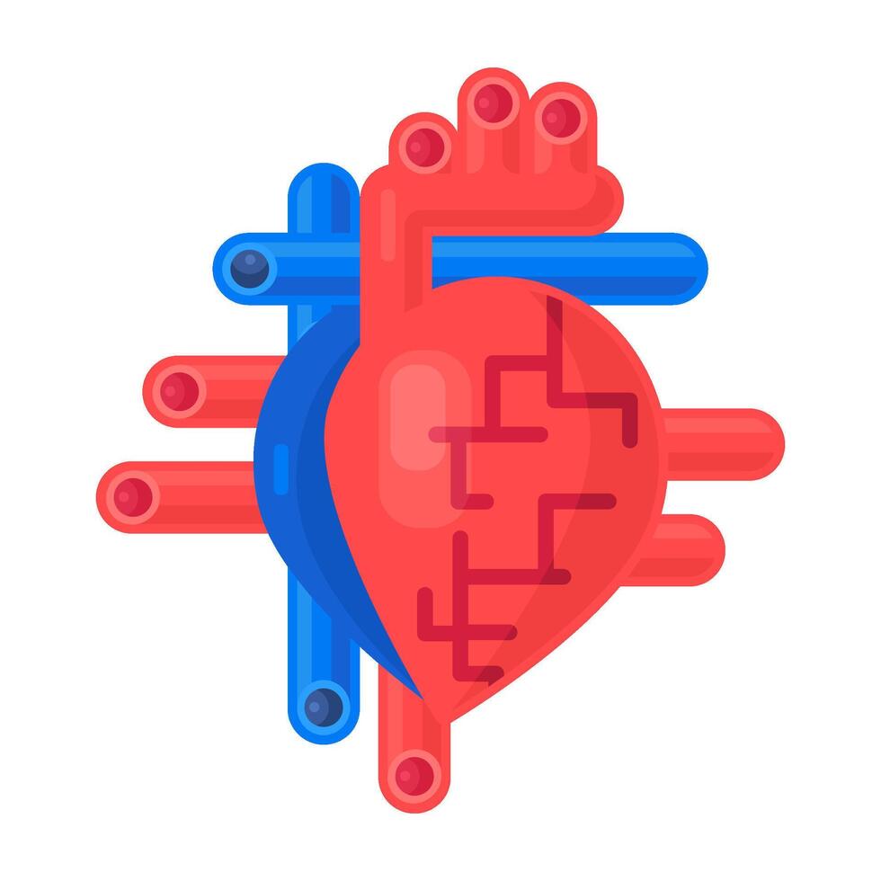 Diagram Of Heart Structure Icon Venous And Arteria vector