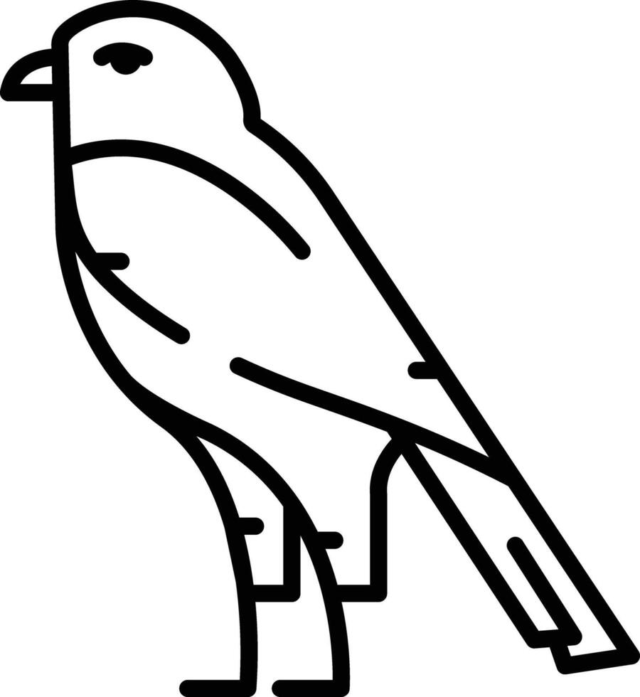 Eagle outline illustration vector