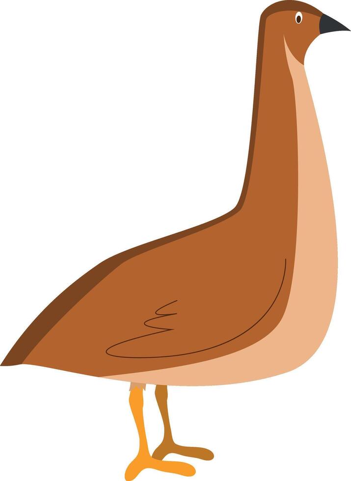 Cute cartoon quail illustration vector