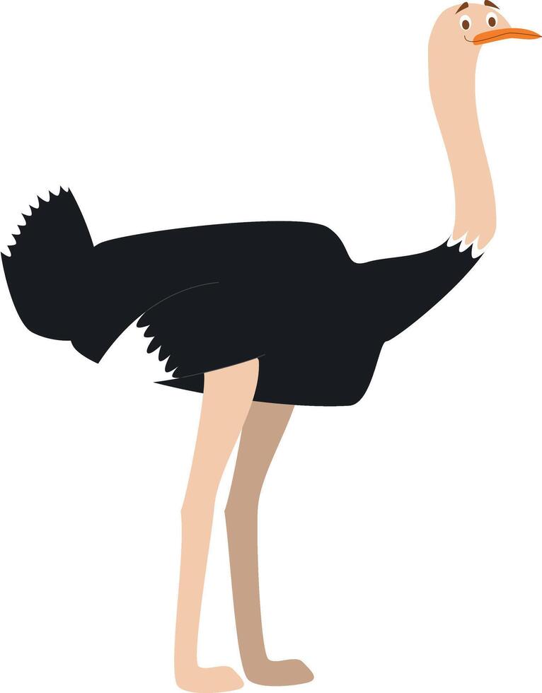 Cute cartoon ostrich illustration vector