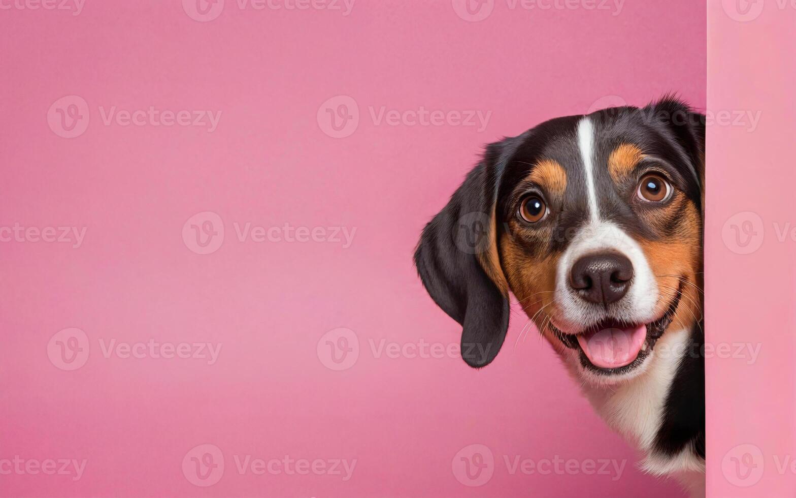 dog, love your pet day, banner, greeting card, social media, pink background photo