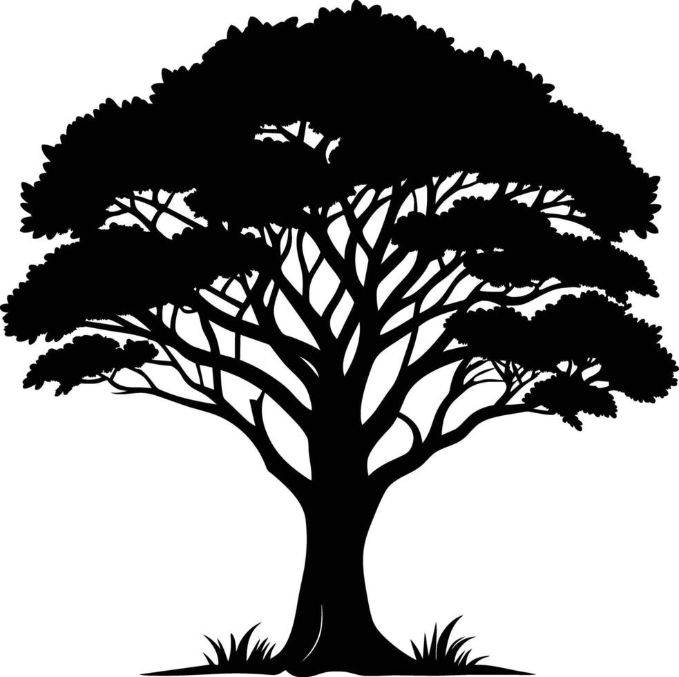 A black silhouette of a African tree vector