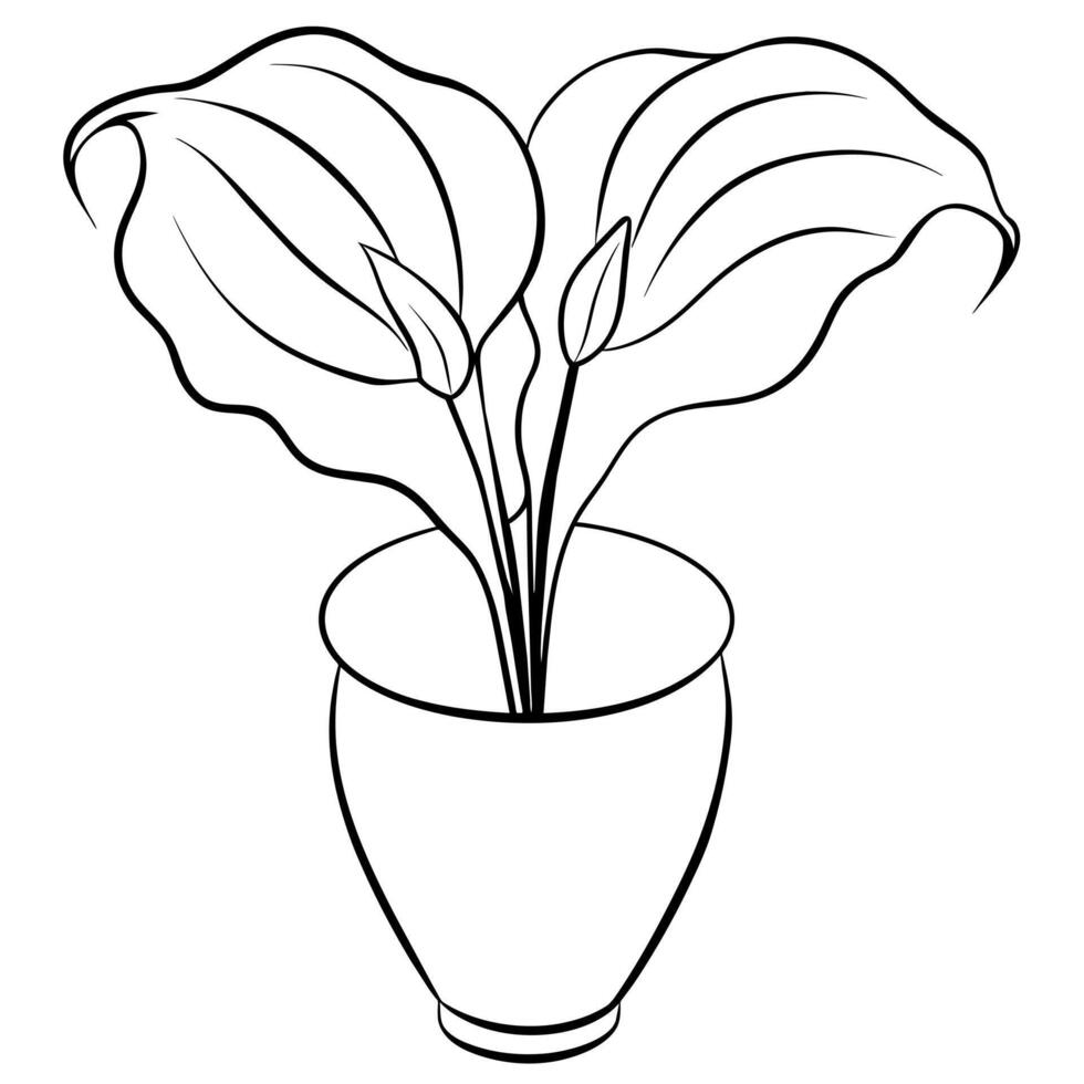 Calla Lily flower on the vase outline illustration coloring book page design, Calla Lily flower on the vase black and white line art drawing coloring book pages for children and adults vector