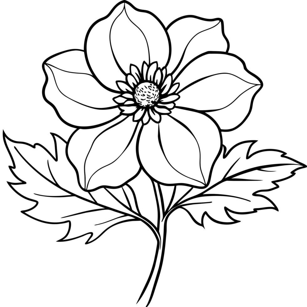 anémona flor planta contorno ilustración colorante libro página diseño, anémona flor planta negro y blanco línea Arte dibujo colorante libro paginas para niños y adultos vector