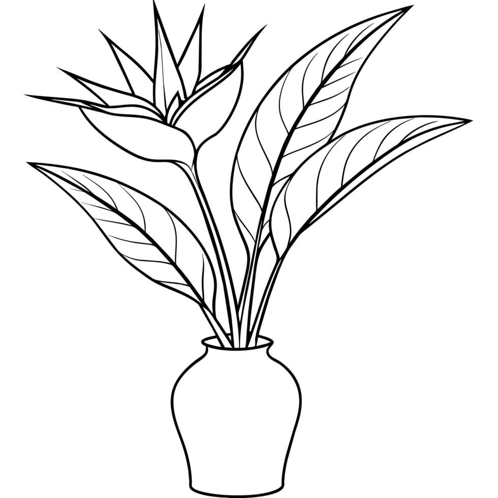 Bird of Paradise flower on the vase outline illustration coloring book page design, Bird of Paradise flower on the vase black and white line art drawing coloring book pages for children and adults vector