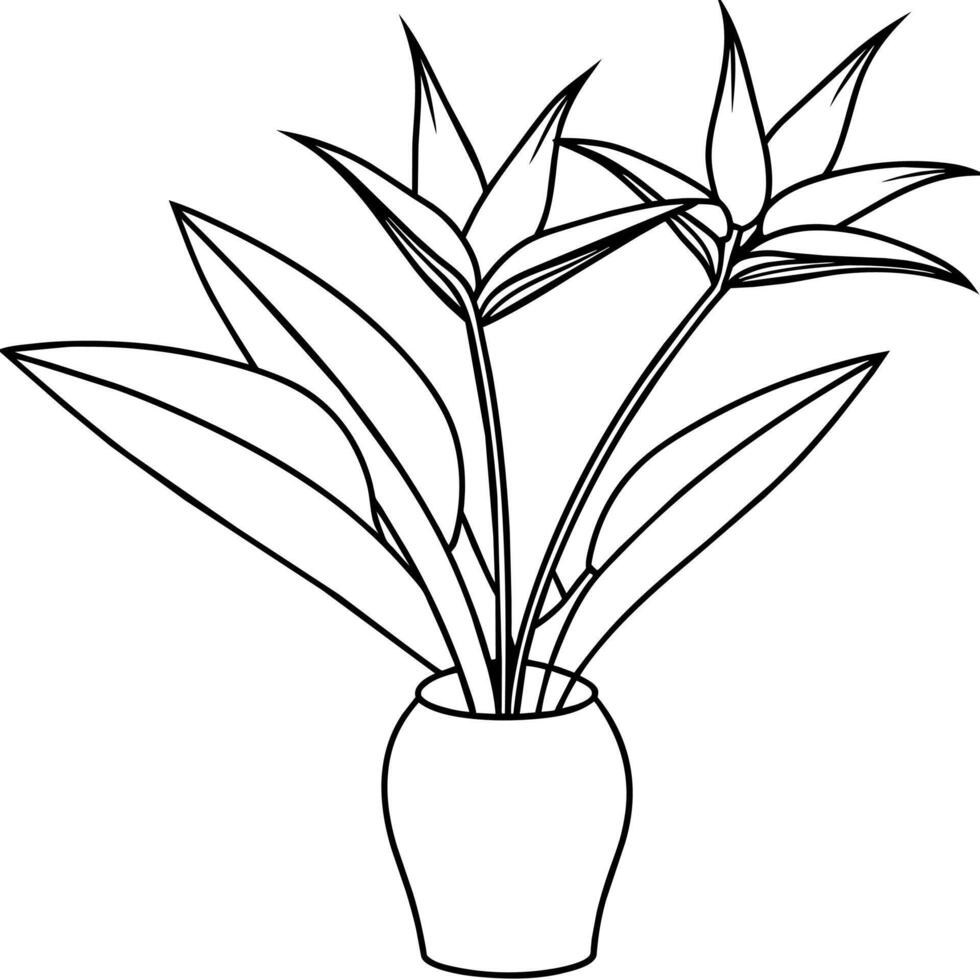 Bird of Paradise flower on the vase outline illustration coloring book page design, Bird of Paradise flower on the vase black and white line art drawing coloring book pages for children and adults vector