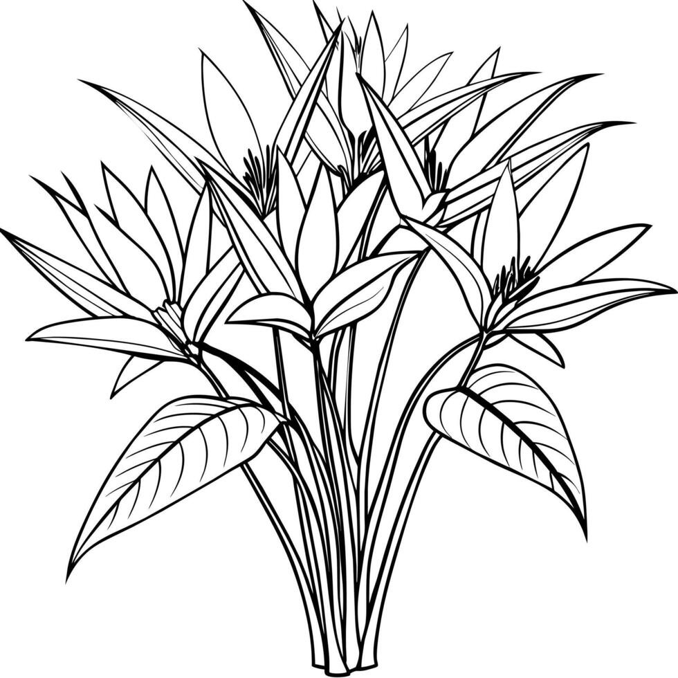 Bird of Paradise Flower Bouquet outline illustration coloring book page design, Bird of Paradise Flower Bouquet black and white line art drawing coloring book pages for children and adults vector