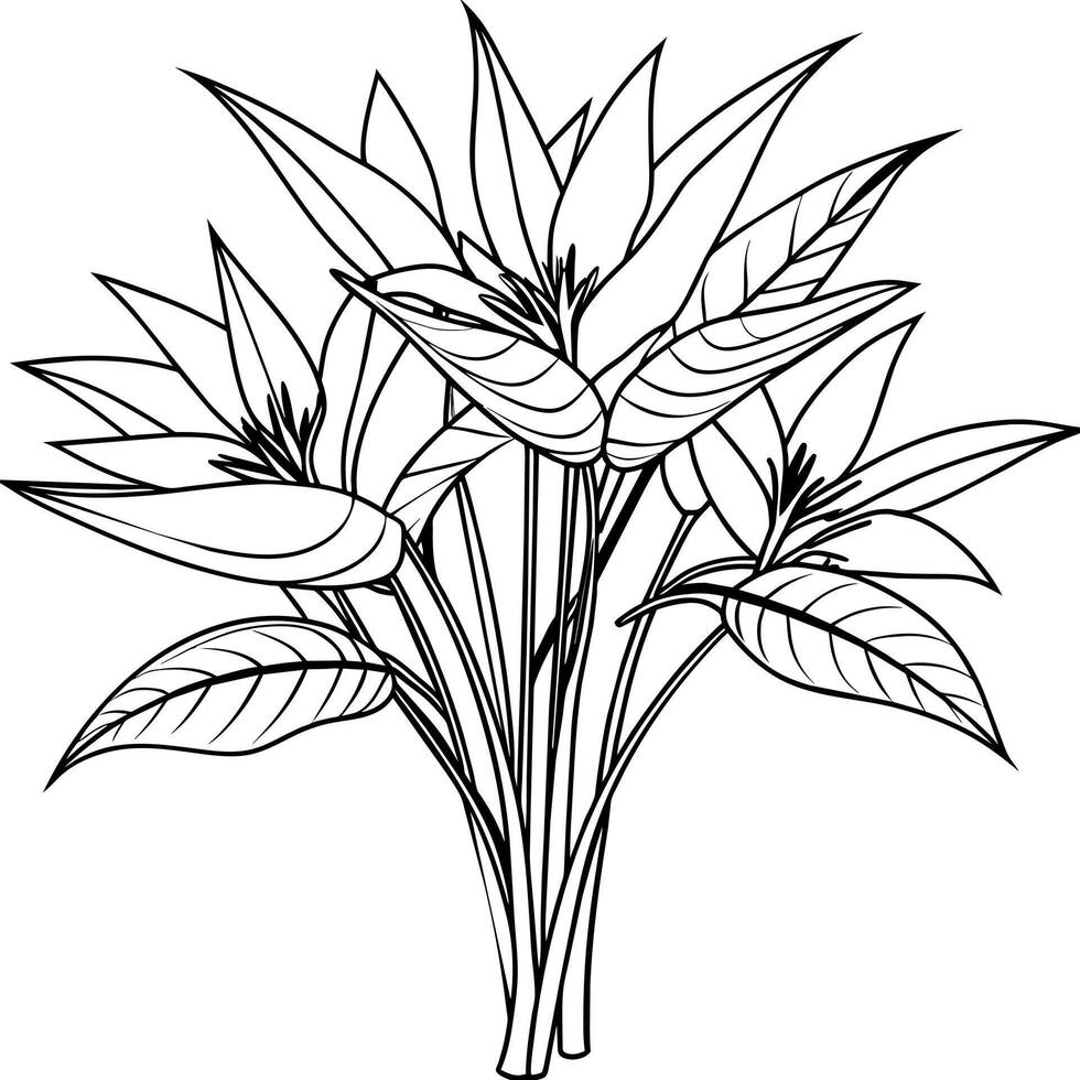 Bird of Paradise Flower Bouquet outline illustration coloring book page design, Bird of Paradise Flower Bouquet black and white line art drawing coloring book pages for children and adults vector