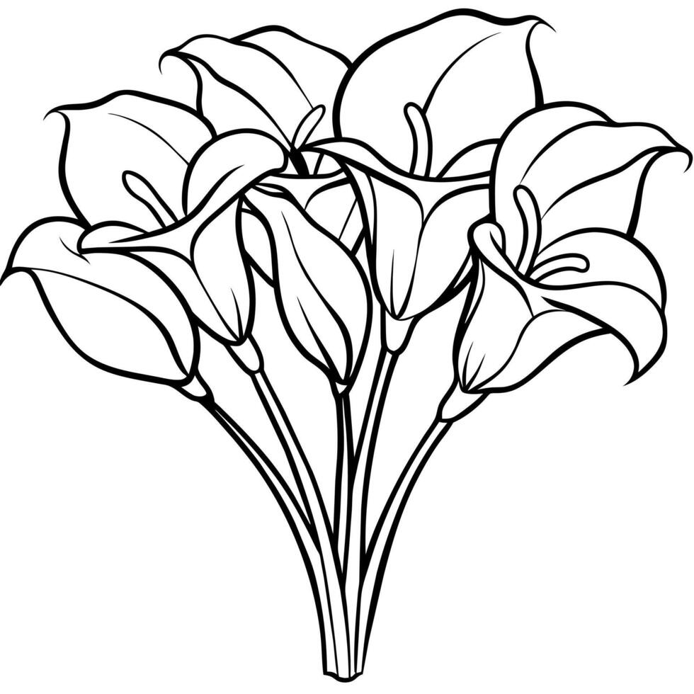 Calla Lily Flower Bouquet outline illustration coloring book page design, Calla Lily Flower Bouquet black and white line art drawing coloring book pages for children and adults vector
