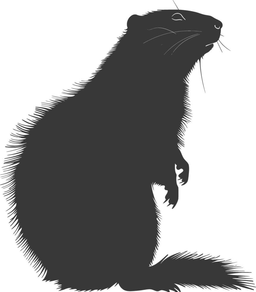 Silhouette marmot animal black color only full body vector