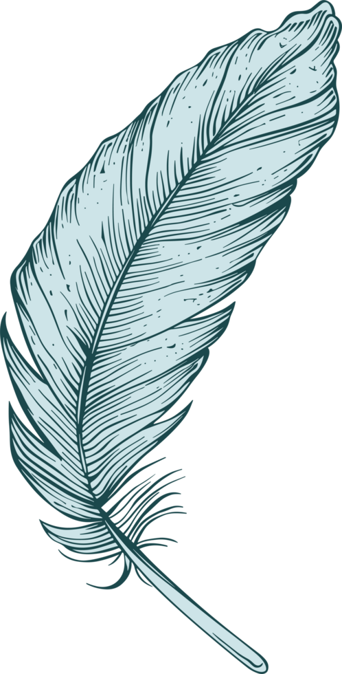 Feather clipart design illustration png
