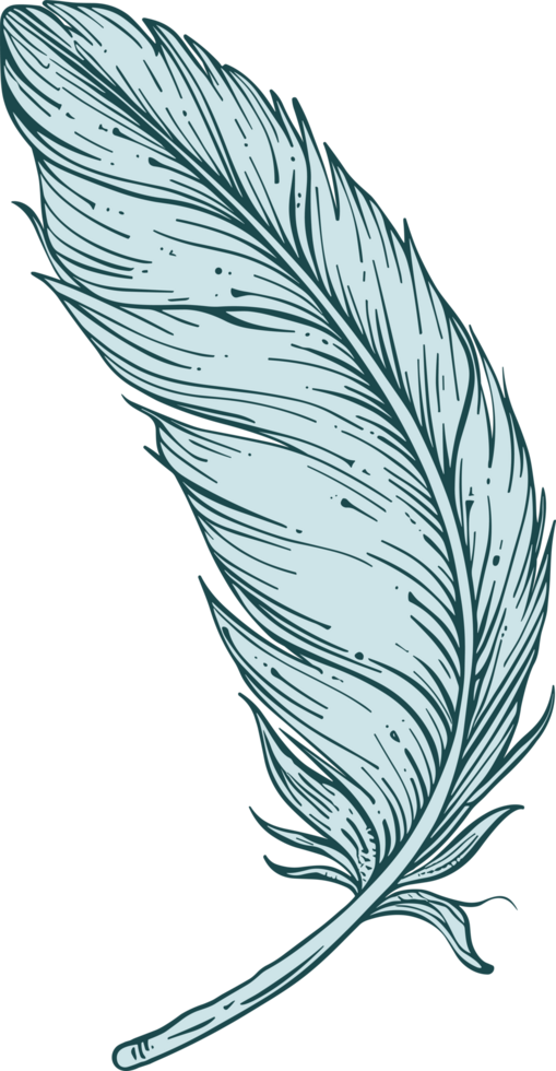 Feather clipart design illustration png