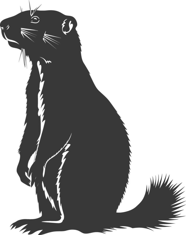 Silhouette marmot animal black color only full body vector