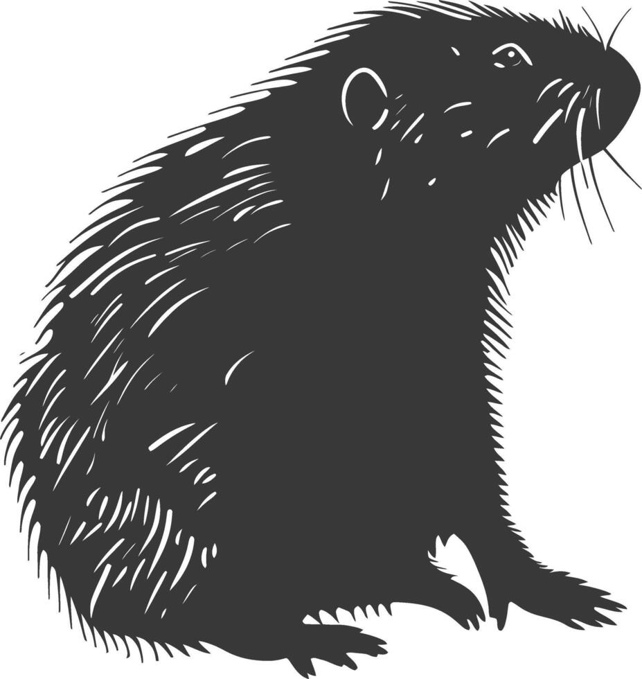 Silhouette mole animal black color only full body vector