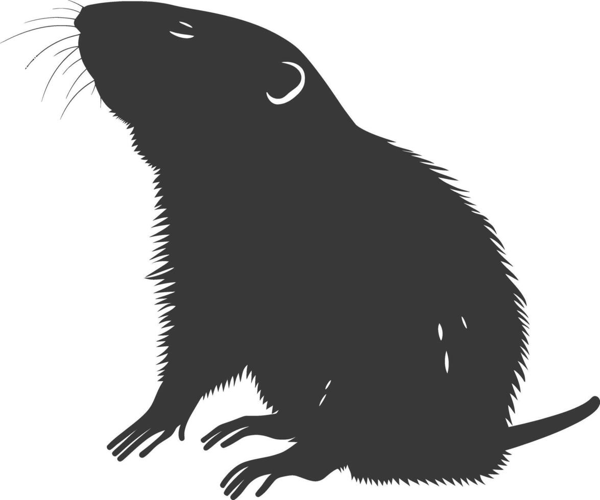 Silhouette mole animal black color only full body vector