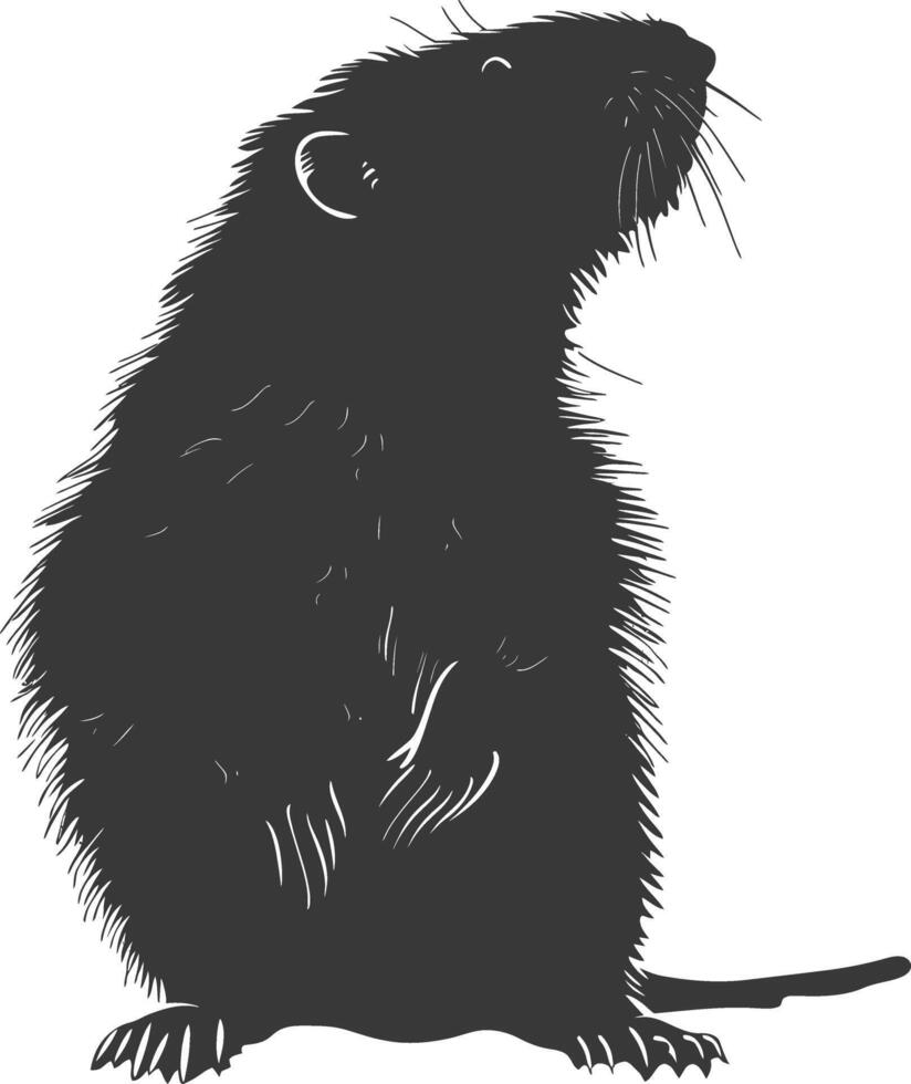 Silhouette mole animal black color only full body vector