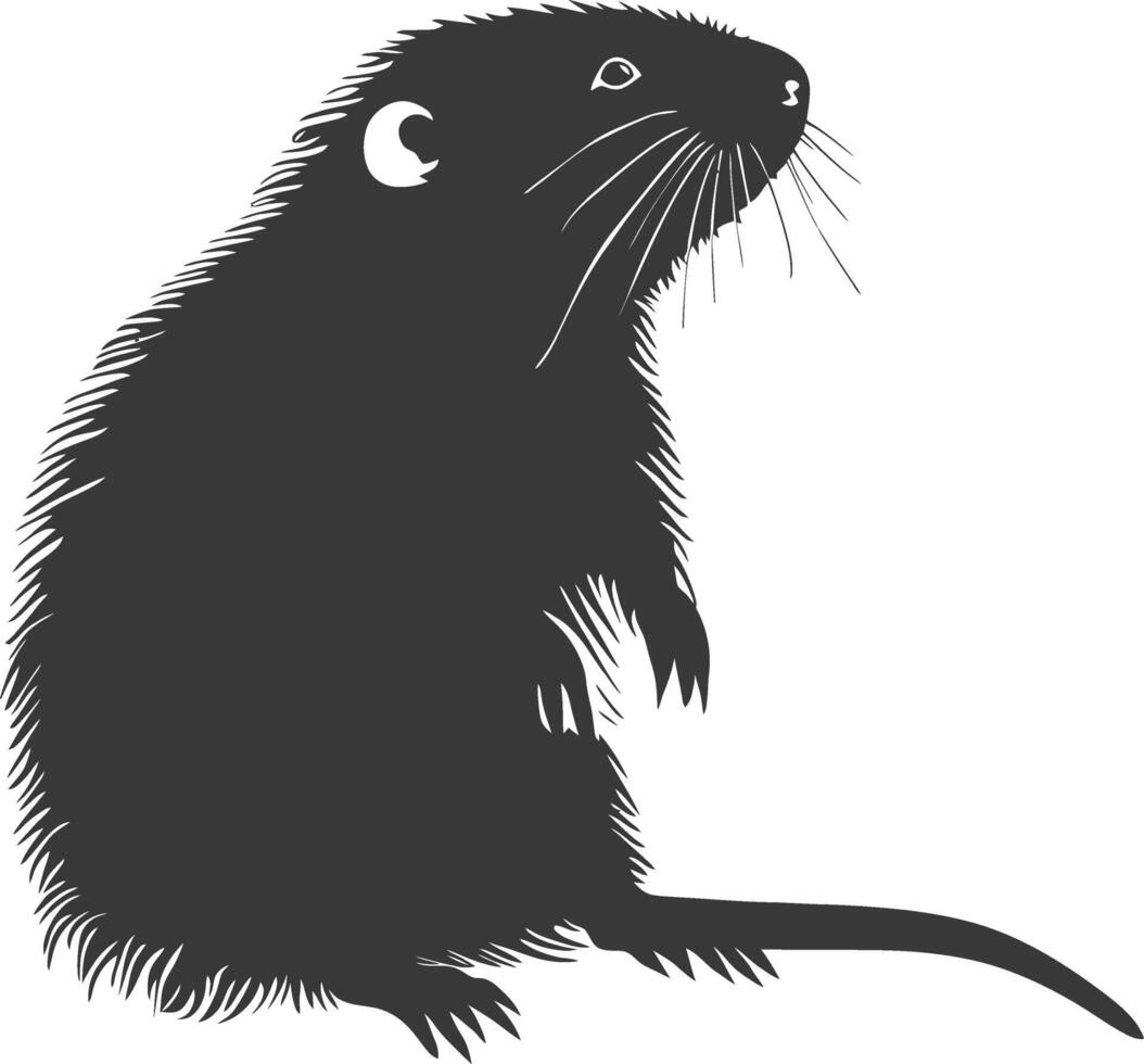 Silhouette mole animal black color only full body vector