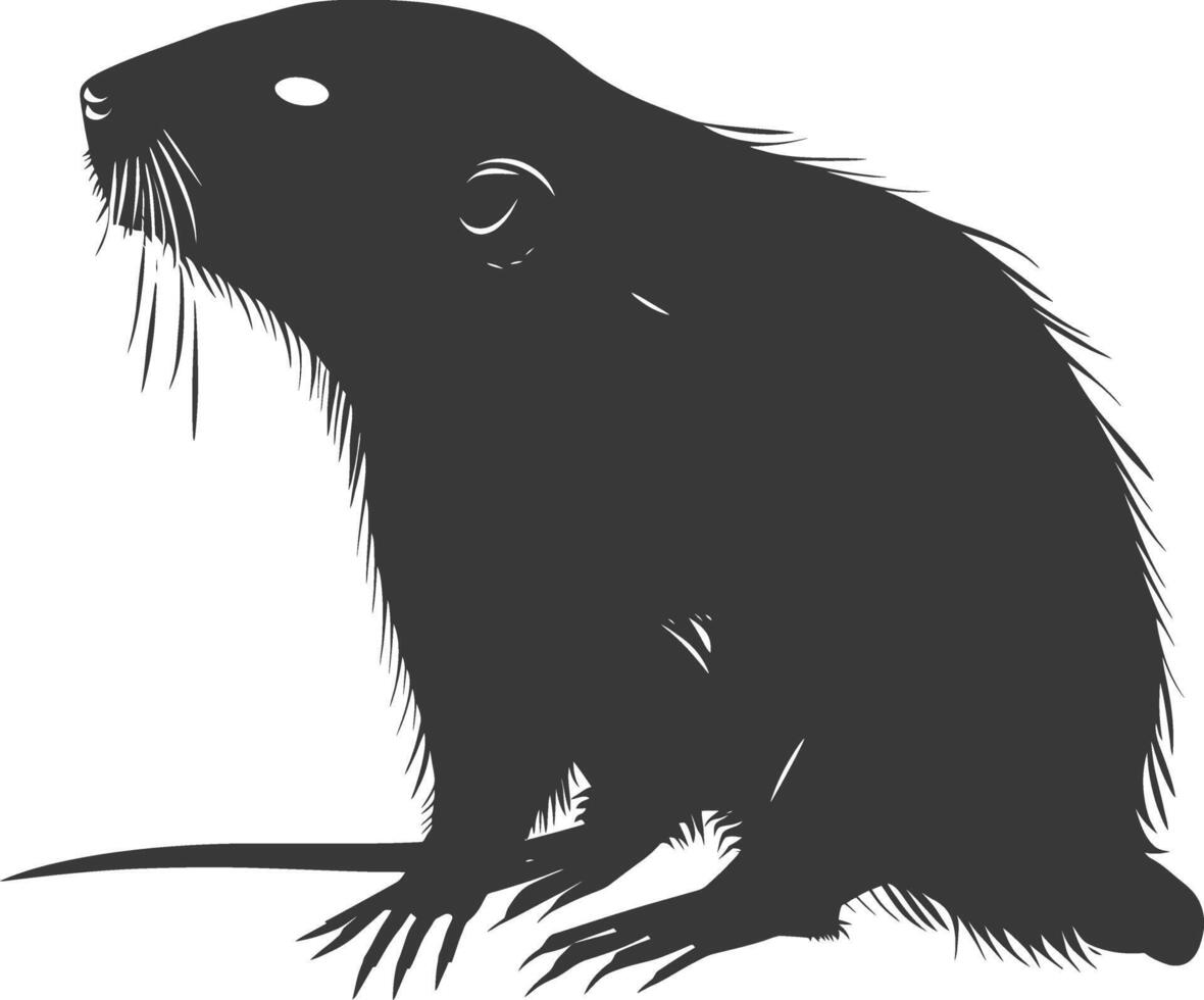 Silhouette mole animal black color only full body vector