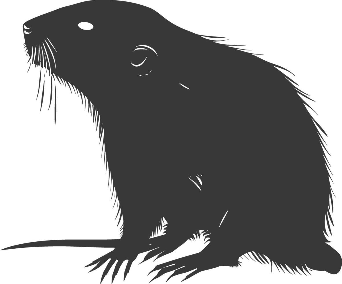 Silhouette mole animal black color only full body vector