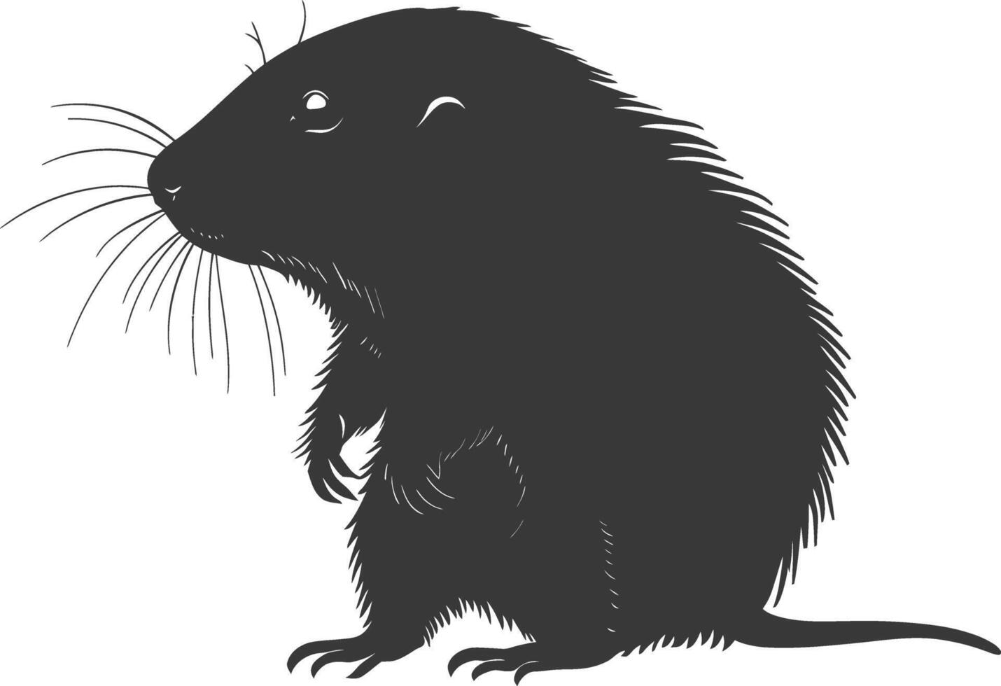 Silhouette mole animal black color only full body vector