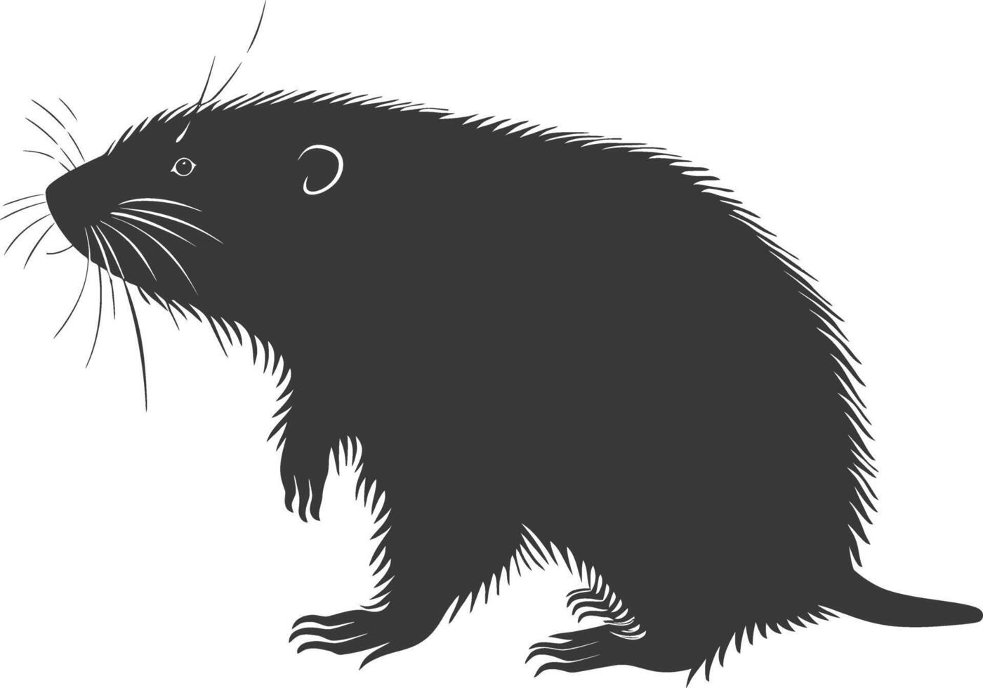 Silhouette mole animal black color only full body vector