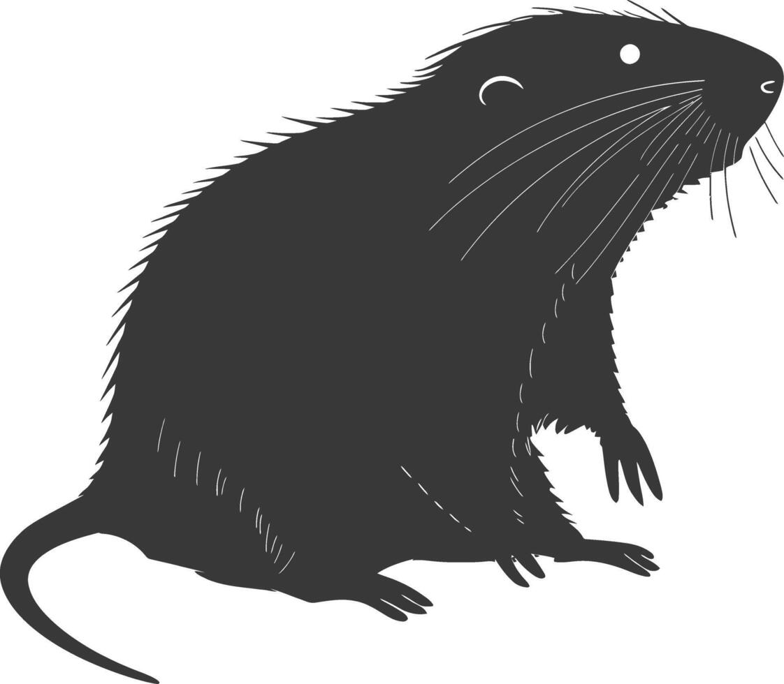 Silhouette mole animal black color only full body vector
