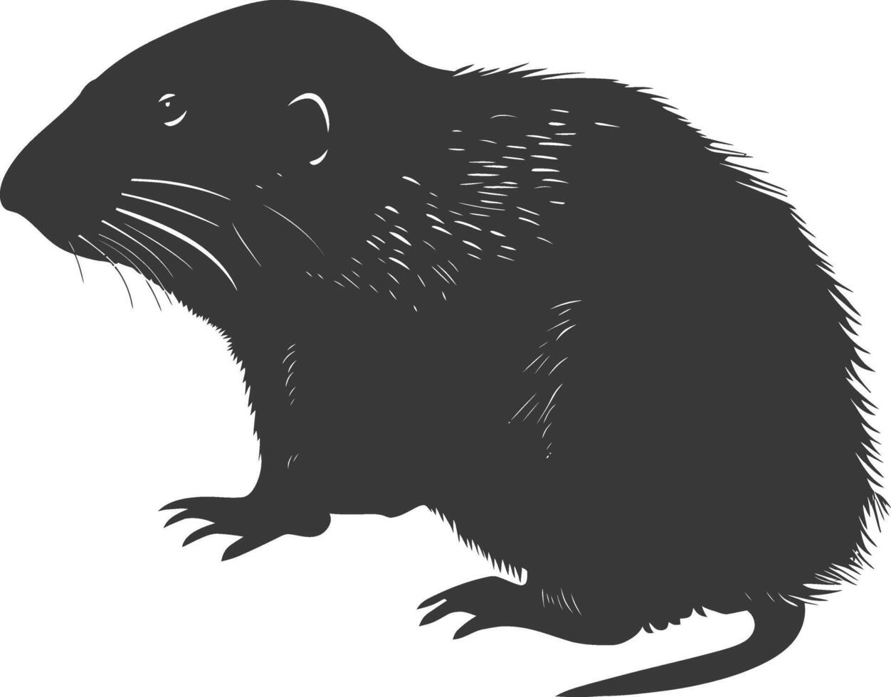 Silhouette mole animal black color only full body vector