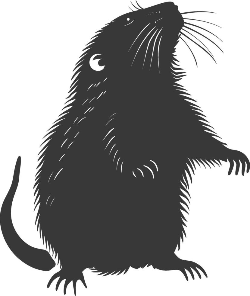 Silhouette mole animal black color only full body vector