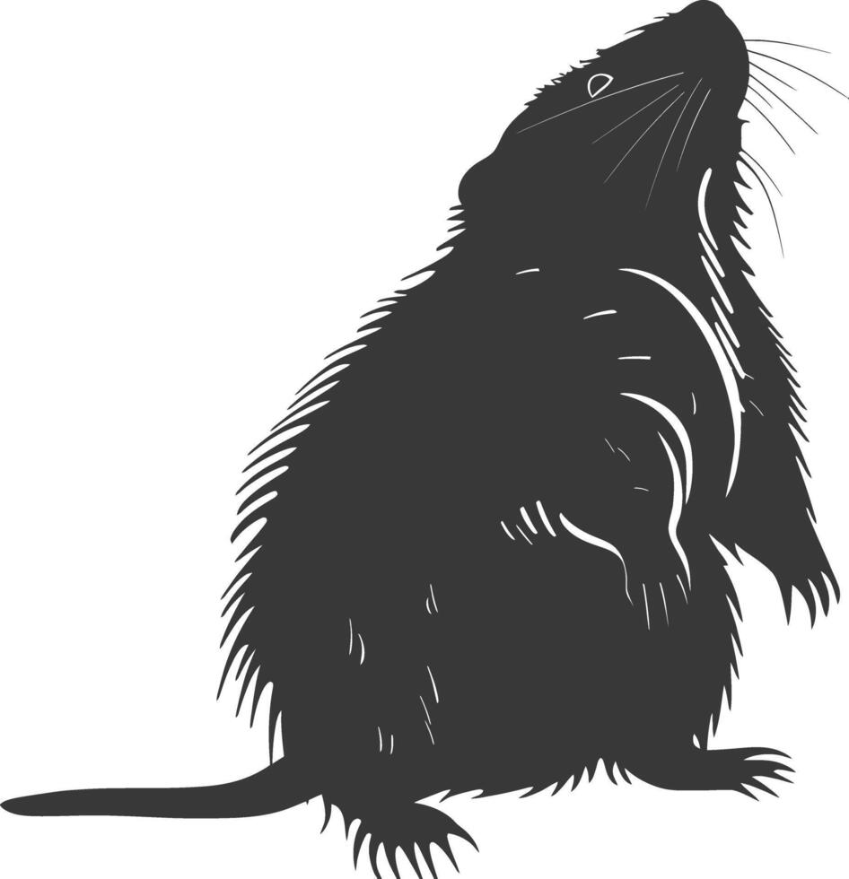 Silhouette mole animal black color only full body vector