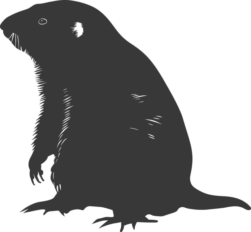 Silhouette mole animal black color only full body vector