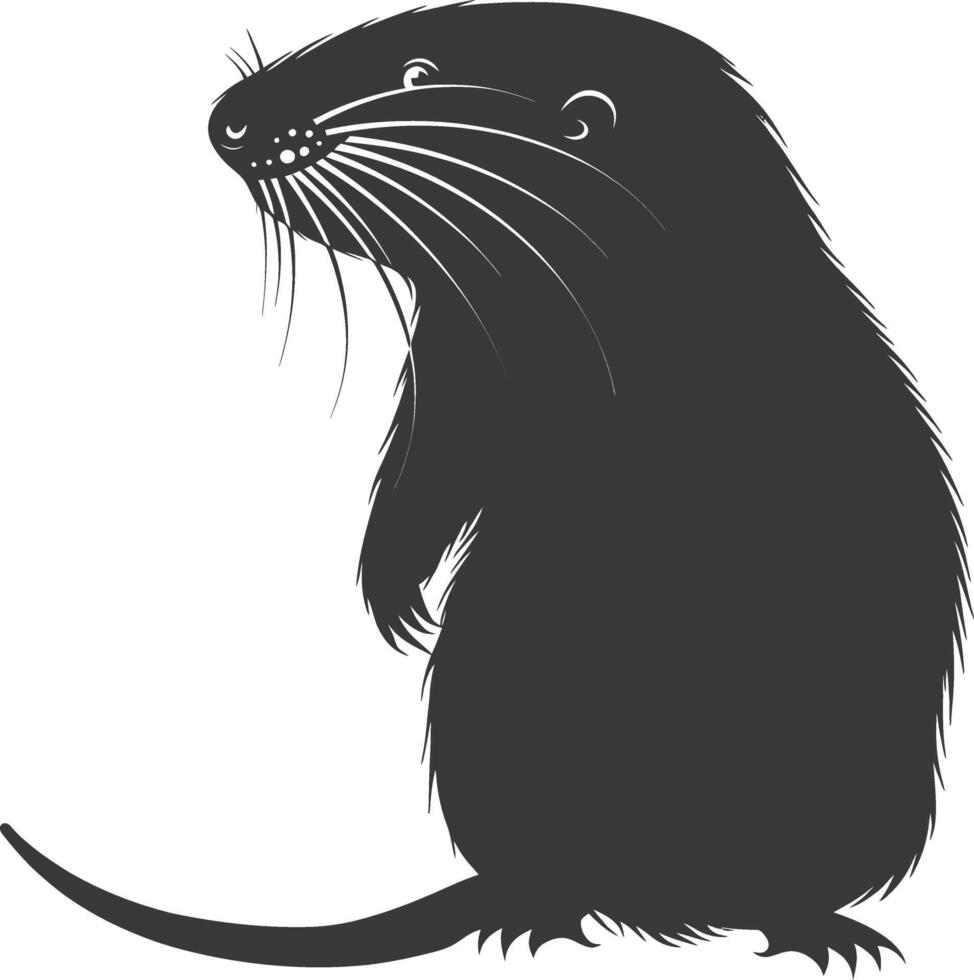 Silhouette mole animal black color only full body vector