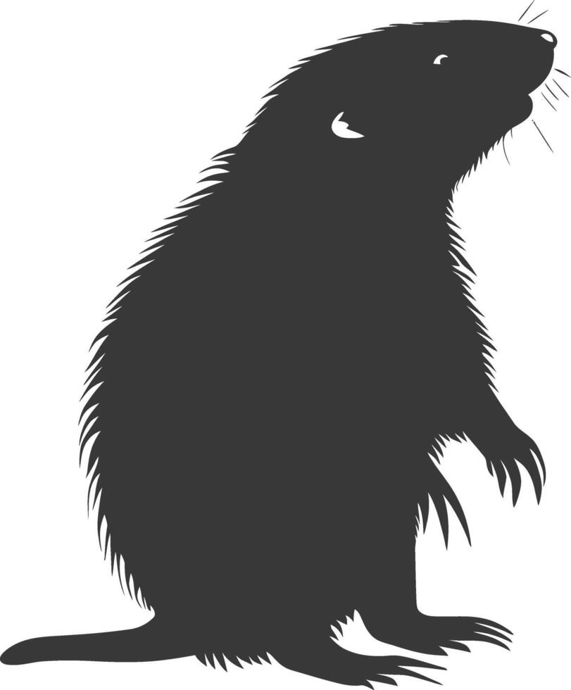 Silhouette mole animal black color only full body vector