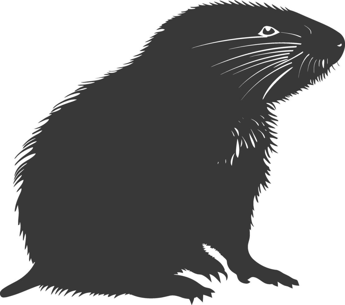 Silhouette mole animal black color only full body vector
