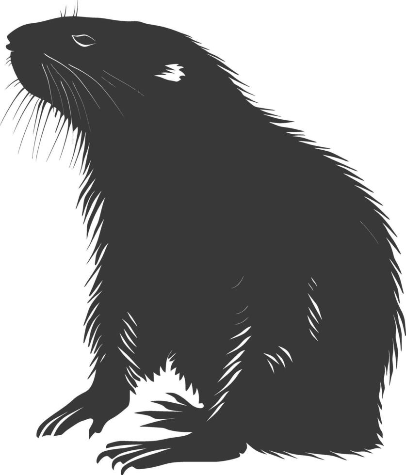 Silhouette mole animal black color only full body vector