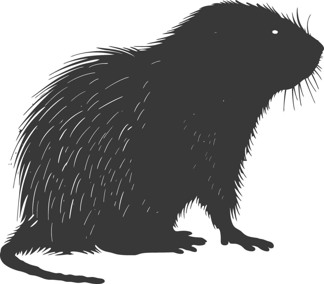 Silhouette mole animal black color only full body vector