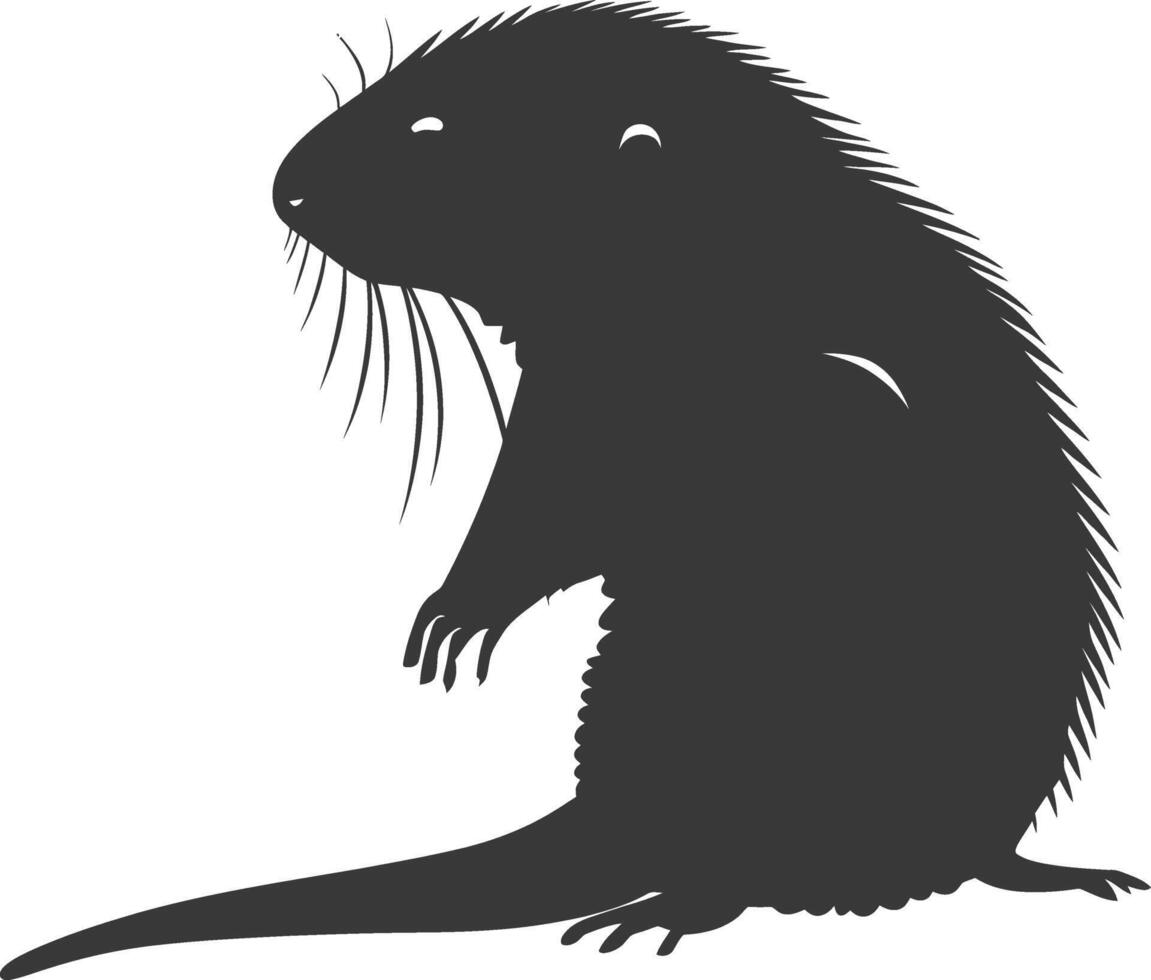 Silhouette mole animal black color only full body vector