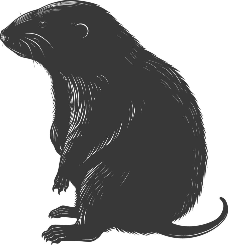 Silhouette mole animal black color only full body vector