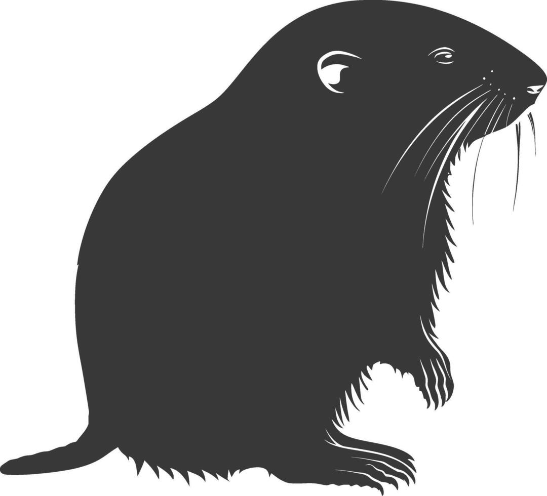 Silhouette mole animal black color only full body vector