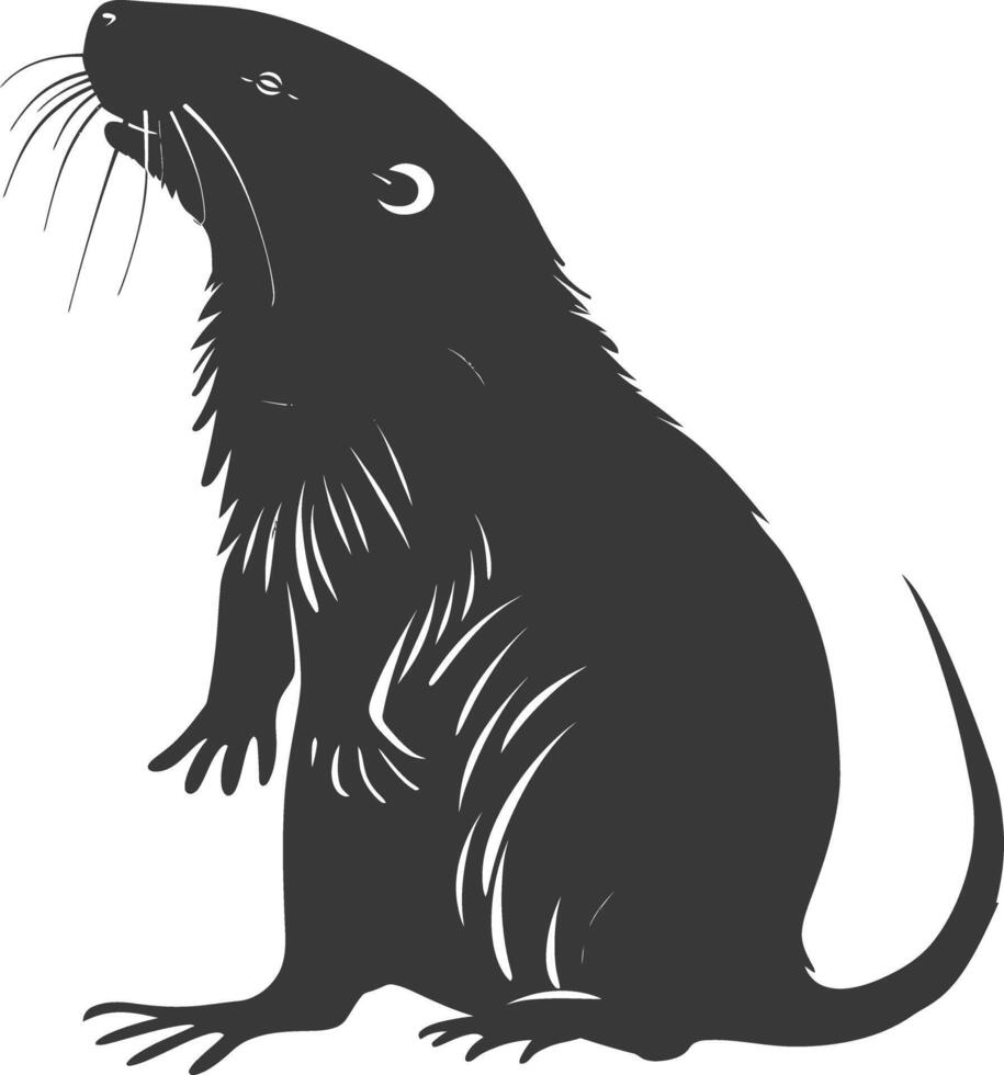 Silhouette mole animal black color only full body vector