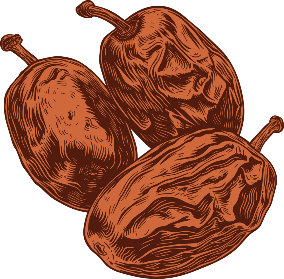 Dried dates clipart design illustration png