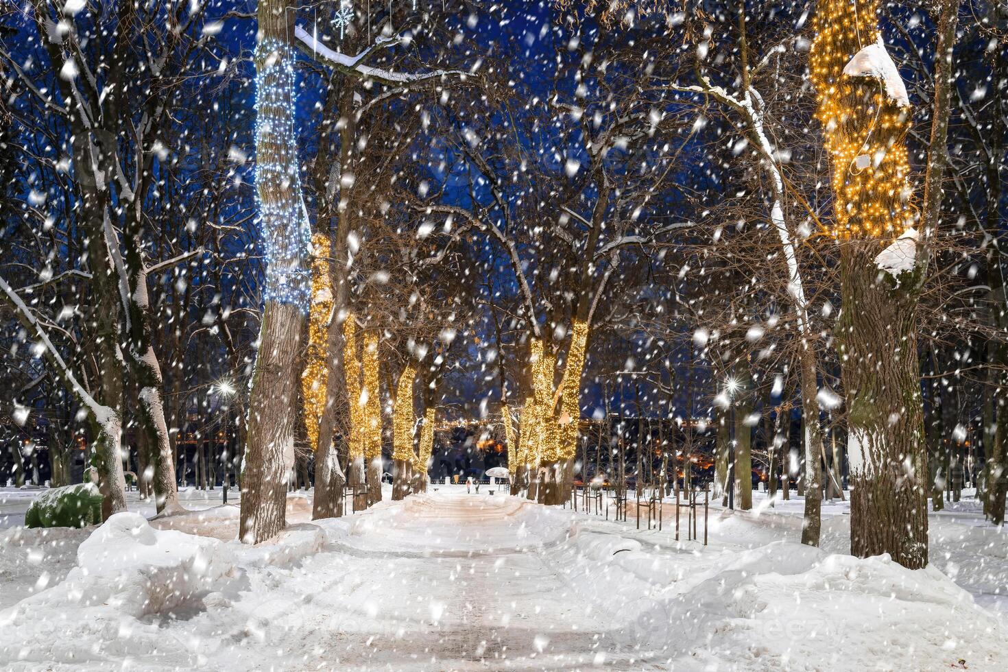 Snowfall in a winter park at night with christmas decorations, lights, pavement covered with snow and trees. photo