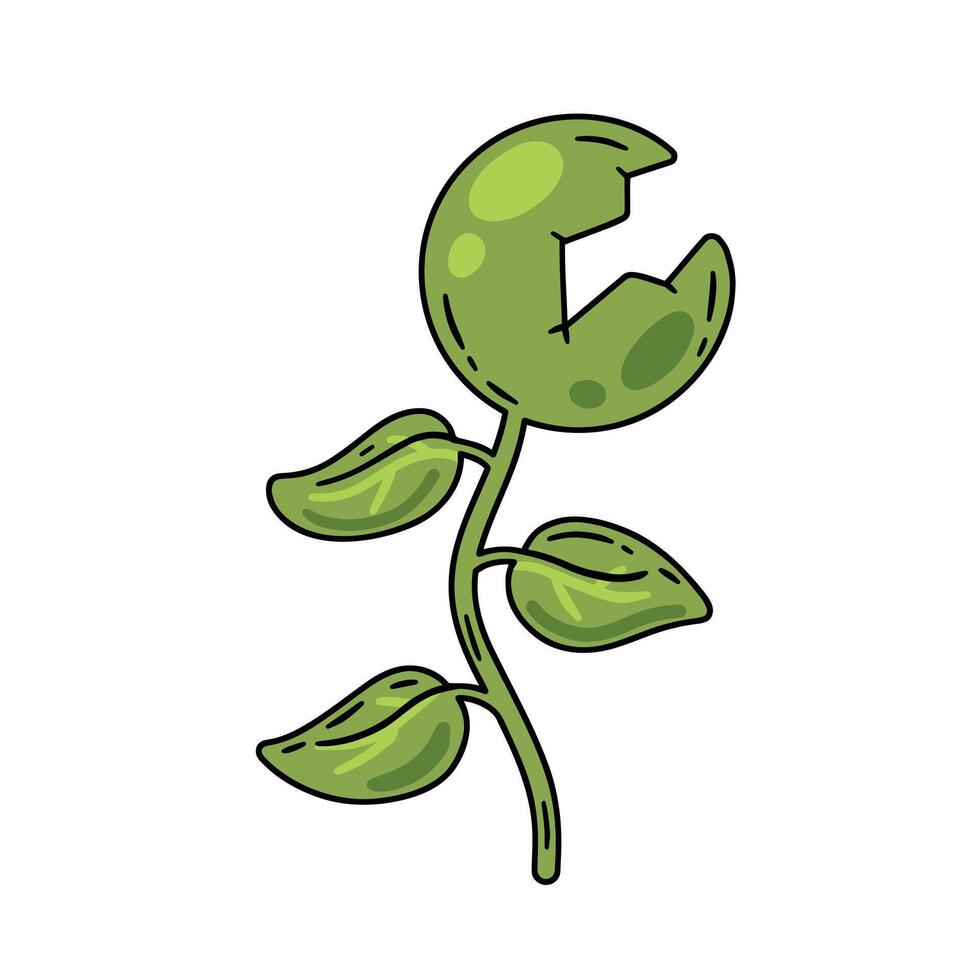 Predatory plant. Venus flytrap. Magic Flycatcher flower with teeth. Exotic tropical plant. Flat cartoon isolated on white vector