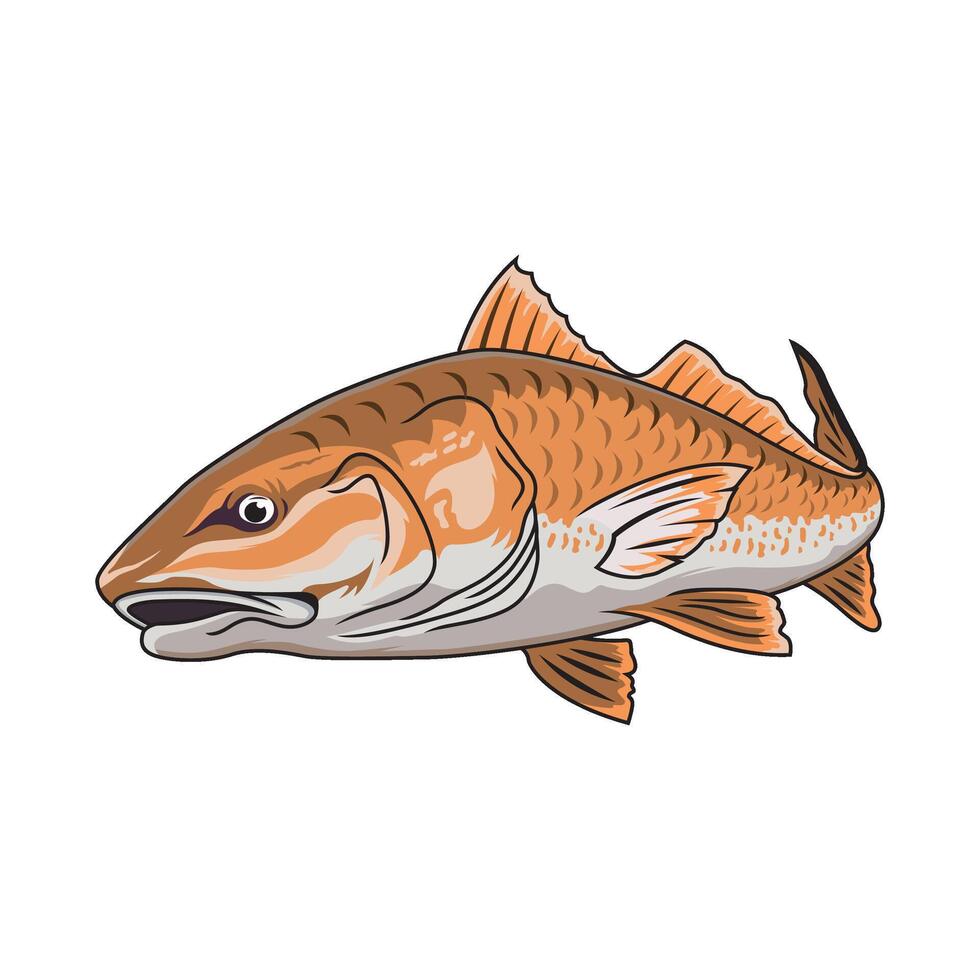 redfish fishing illustration logo vector