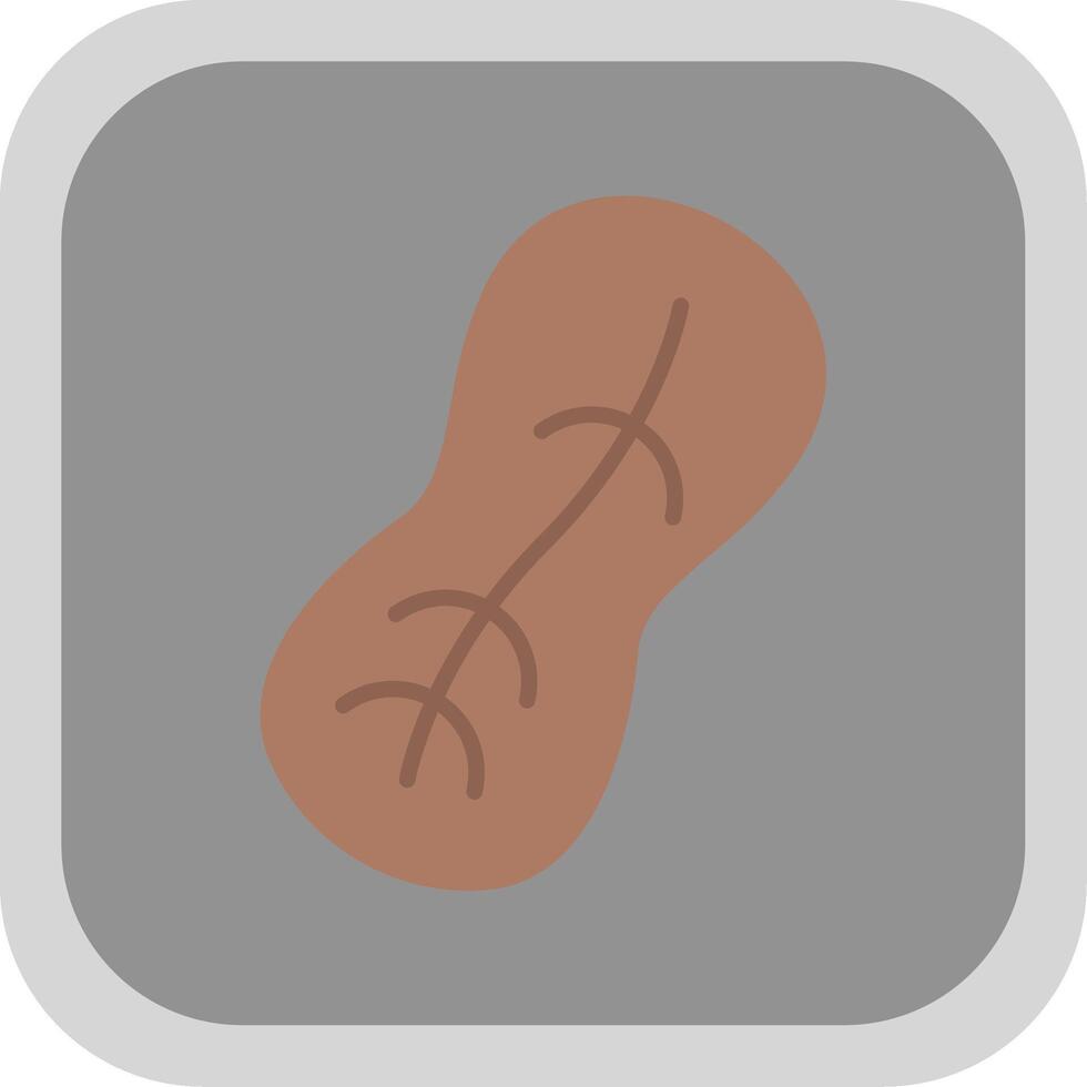 Peanut Flat round corner Icon Design vector