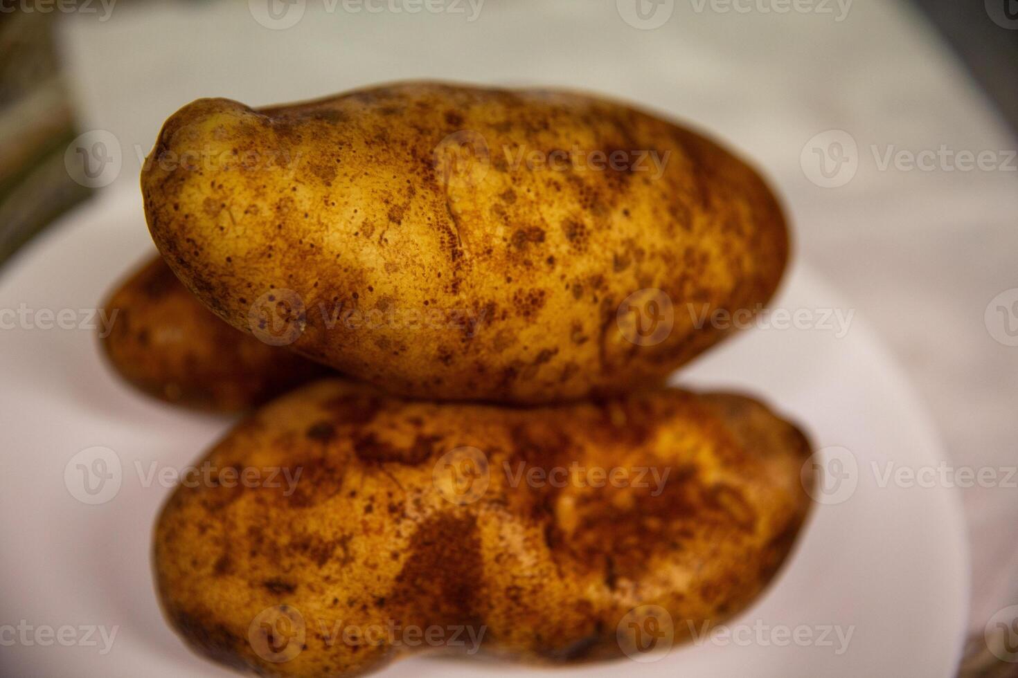 Three Russet Potatoes photo