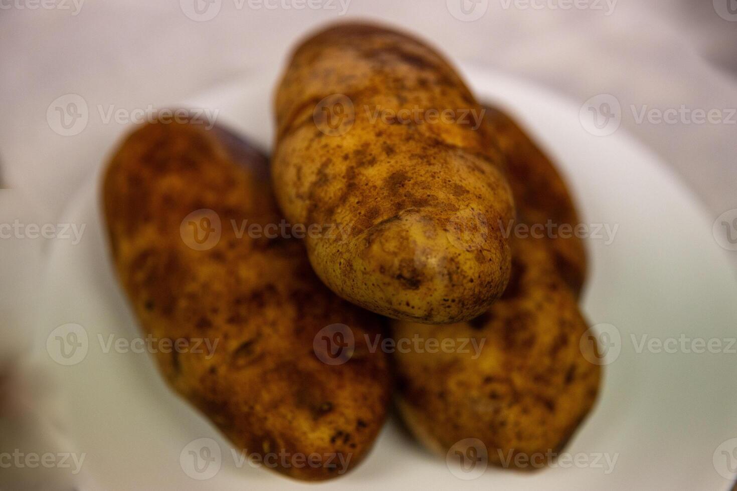 Three Russet Potatoes photo