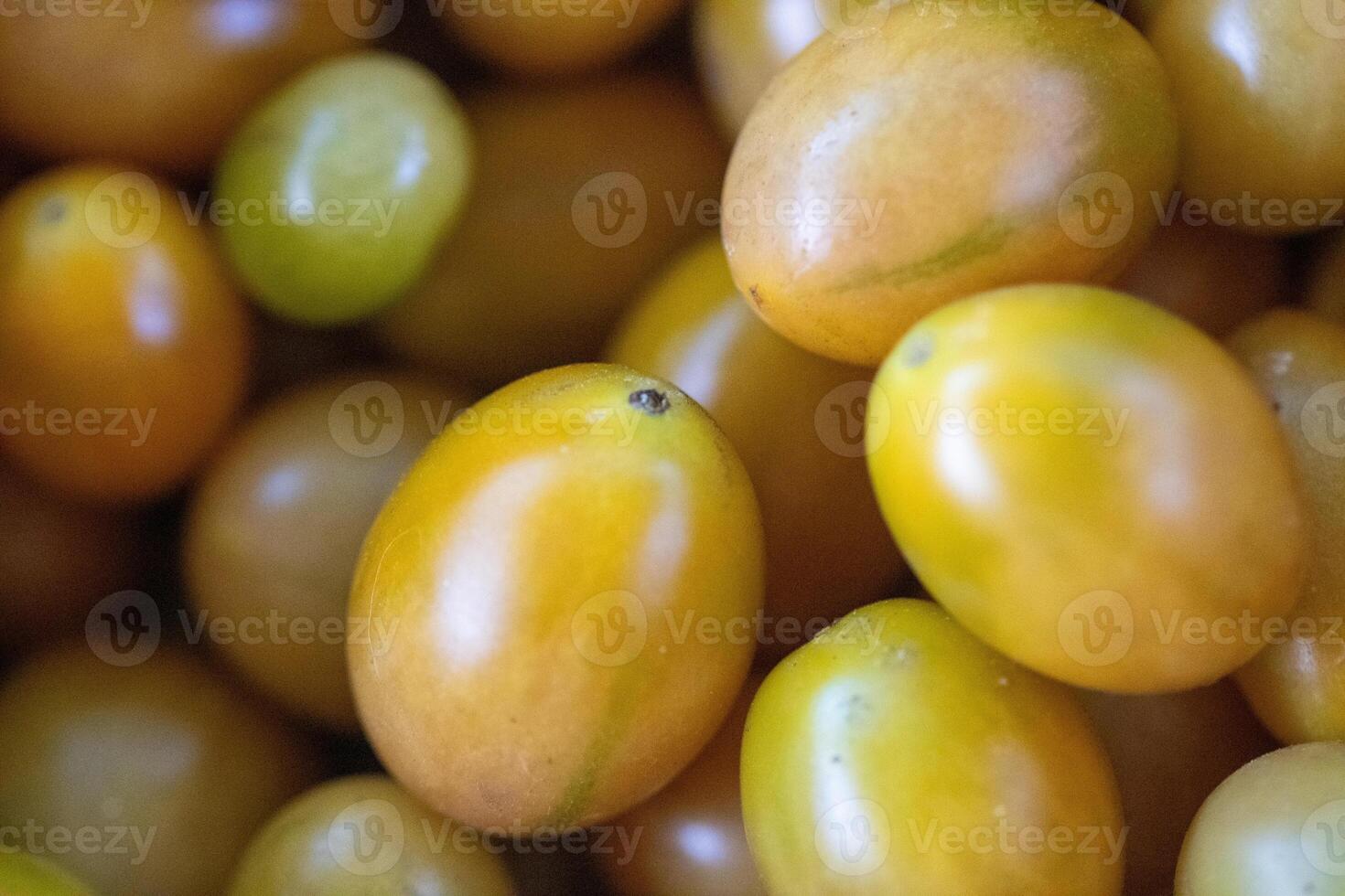 Garden Grown Small Tomatoes photo