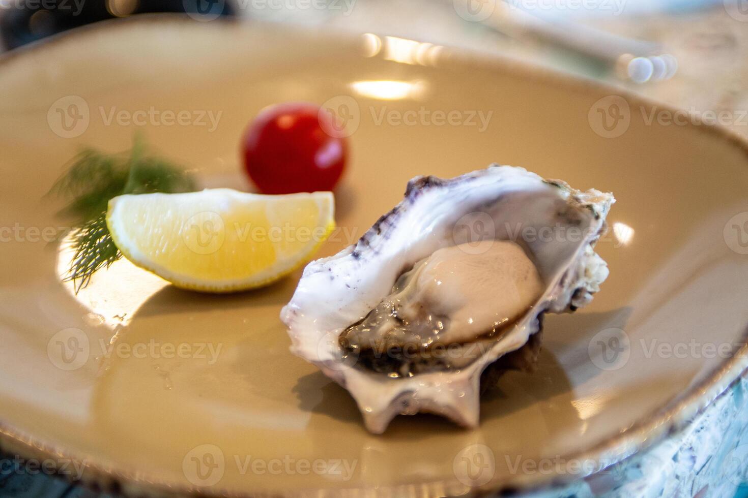 Single oyster on the half shell photo
