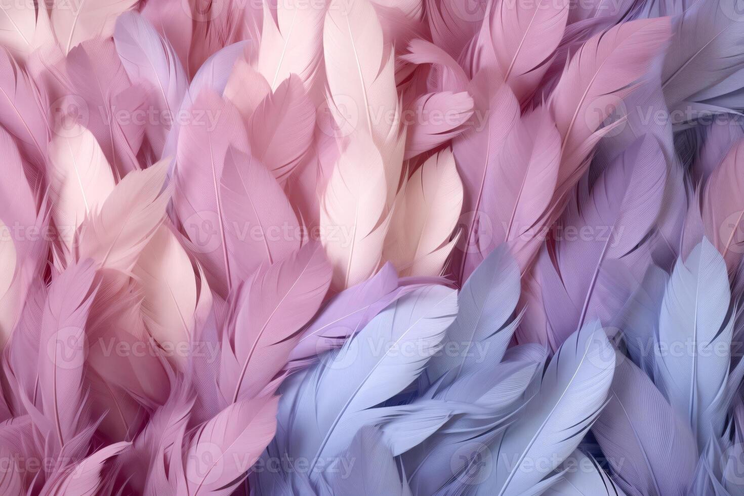 Pastel Feathers Background, pastel color feather abstract background texture, pastel feathers wallpaper, pastel bird feathers pattern, photo