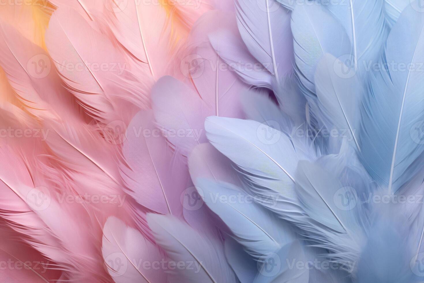 Pastel Feathers Background, pastel color feather abstract background texture, pastel feathers wallpaper, pastel bird feathers pattern, photo